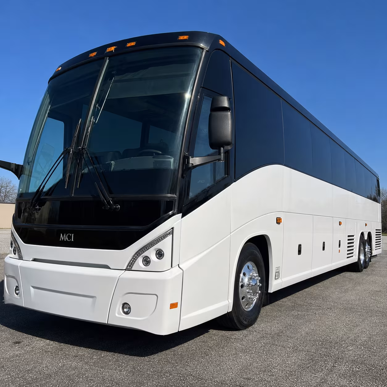 book the perfect ride for your next bachelor or bachelorette party 2