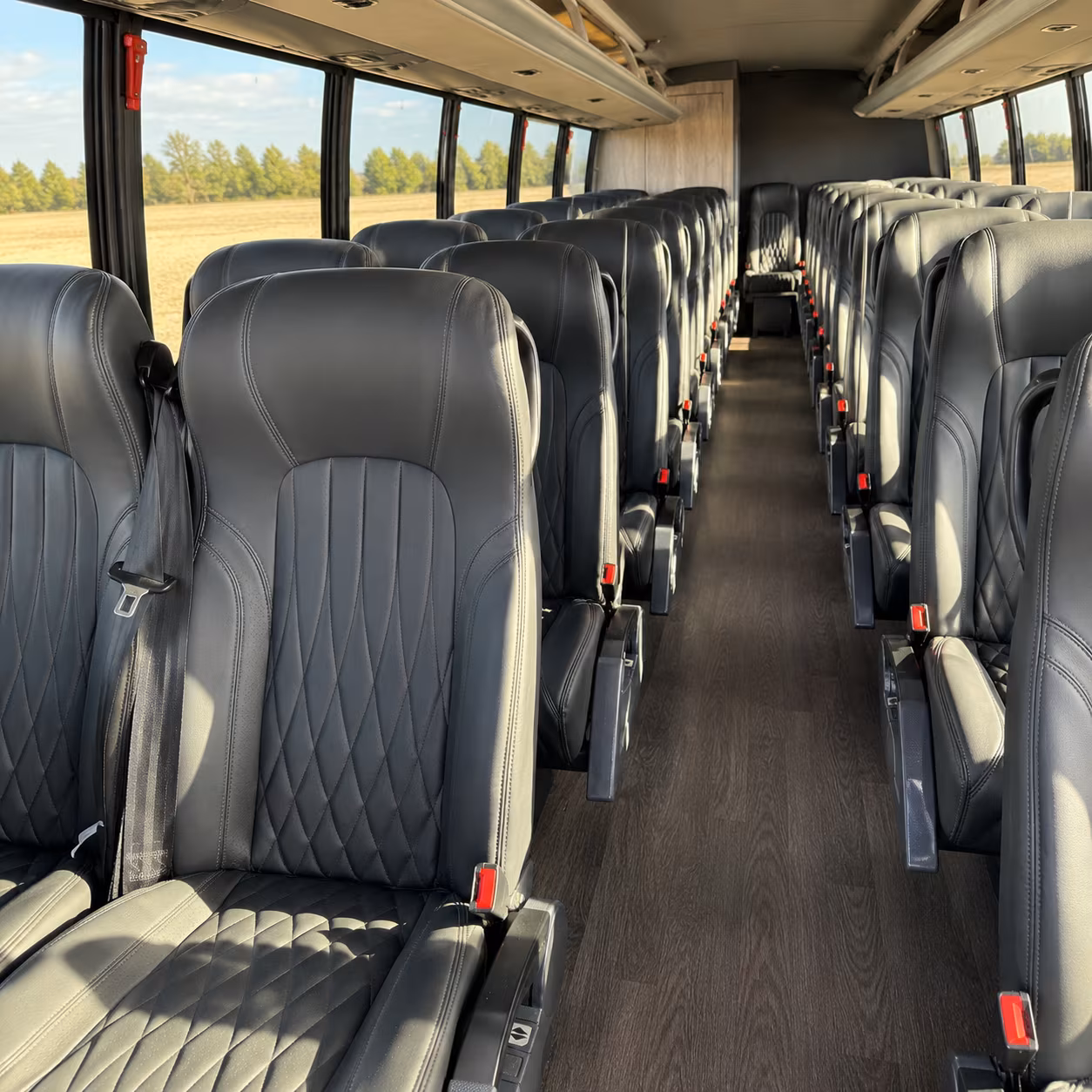 minibus rentals for lubbock wedding party transportation on the big day